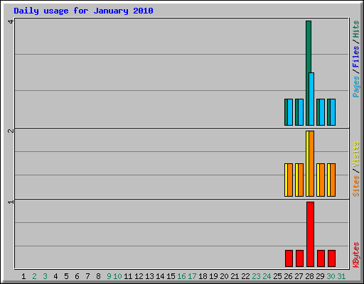 Daily usage for January 2010