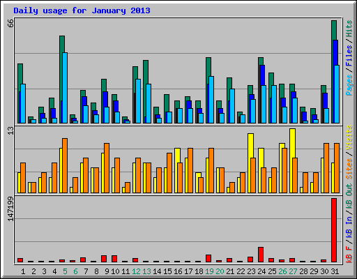 Daily usage for January 2013