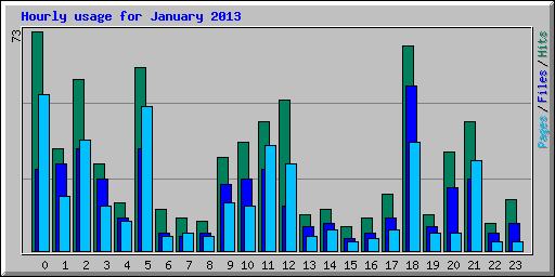 Hourly usage for January 2013